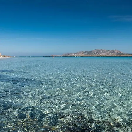 Apartamento - Insel Sardinien 23216