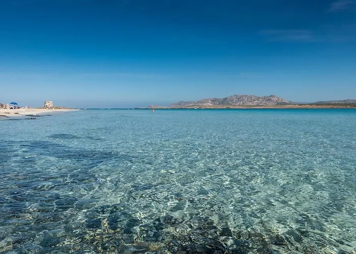 Apartament - Insel Sardinien 23216
